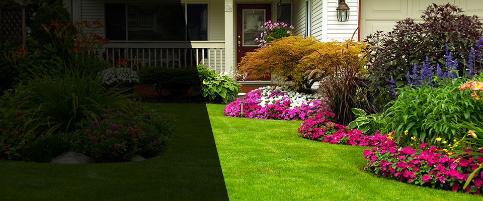 Pollok Landscapers