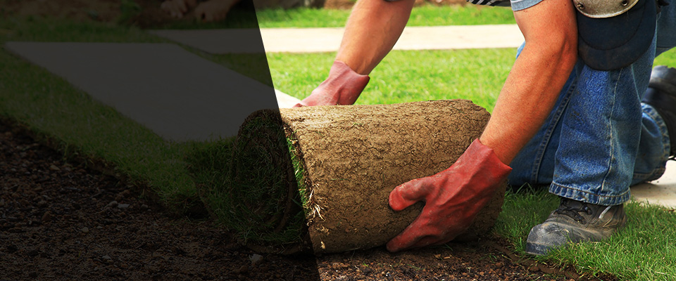 Pollok Landscapers